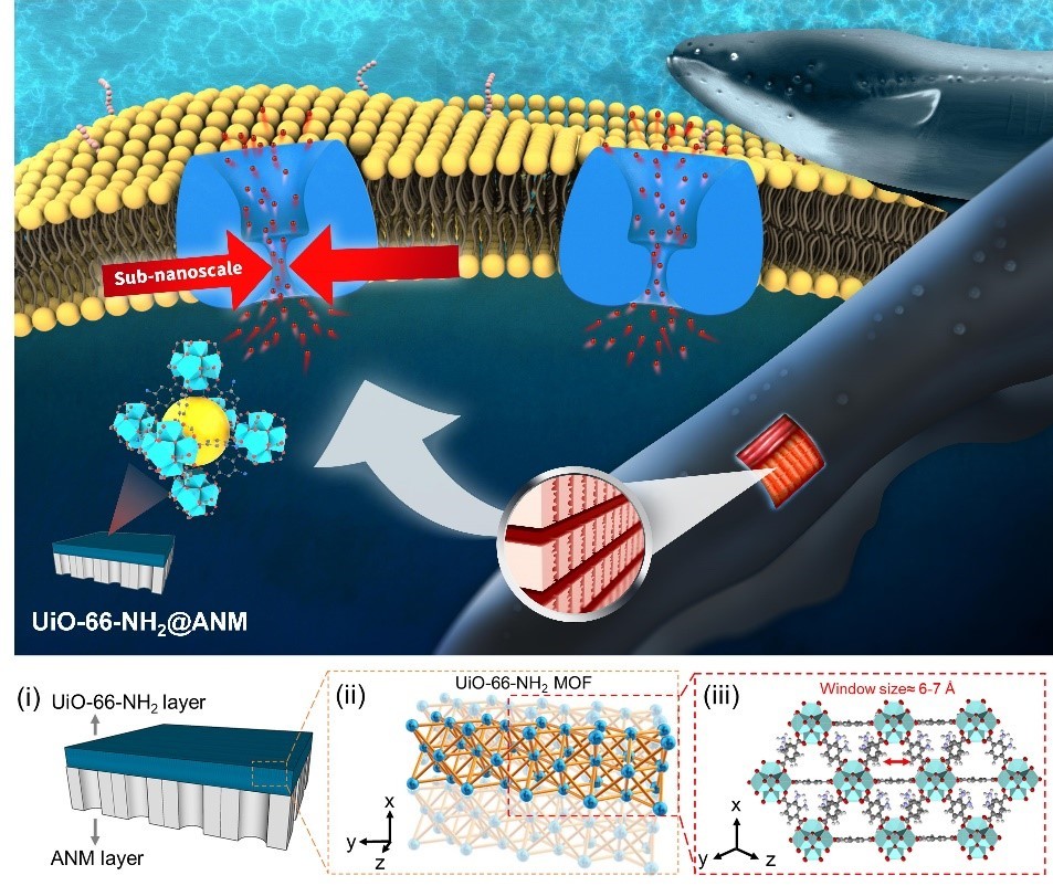 https://advances.sciencemag.org/content/7/10/eabe9924